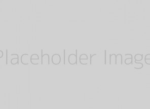 Portfolio Item 5